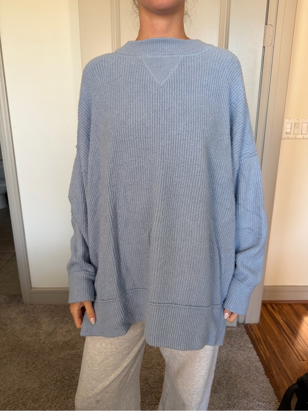 aerie Oversized Light Blue Crewneck Sweater